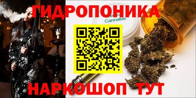 стаф Балаково