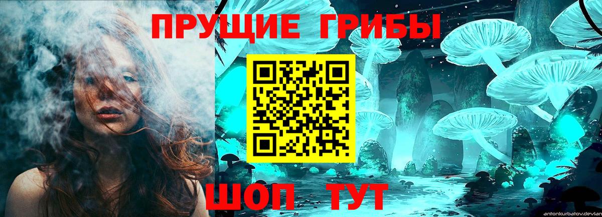 Жигулёвск  Псилоцибиновые грибы GOLDEN TEACHER  Вход с VPN 
