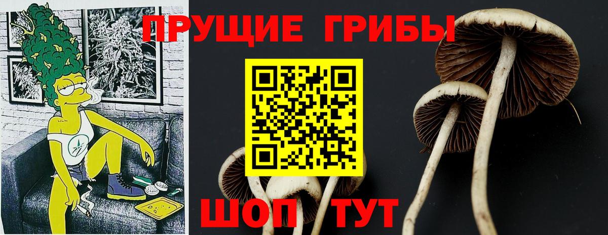 ГАШИШ  COCAIN  Мефедрон кристаллы  Меф кристаллы  ГАШ  Жигулёвск  Каннабис  A-PVP СОЛЬ кристаллы 