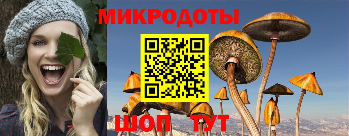 Галлюциногенные грибы мухоморы Жигулёвск